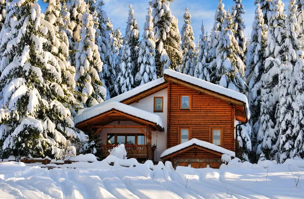 Winter beautiful snow house in forest