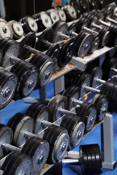 A set up with many dumbbells