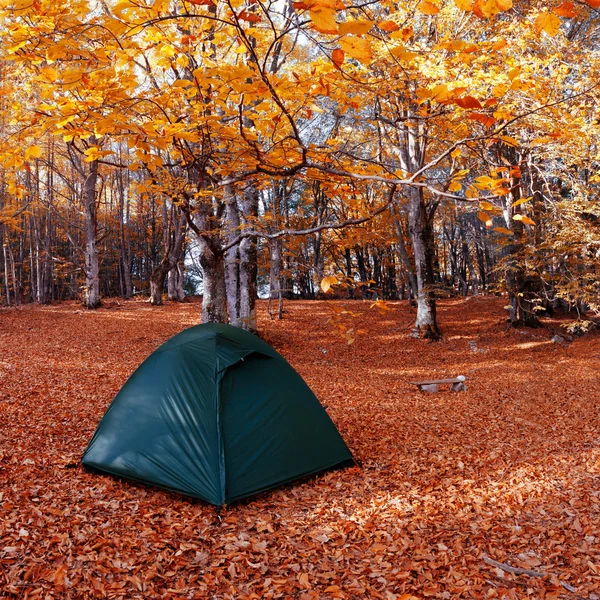 Tent in the autumn forest
