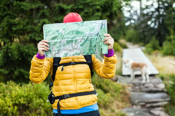 Woman hiking and reading map in forest
