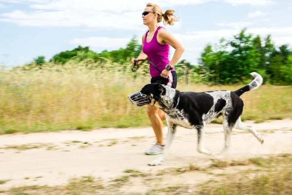 Woman runner running, walking dog in summer nature