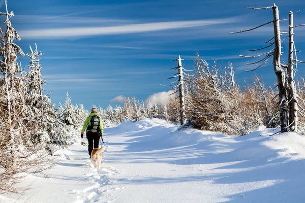 Woman hiking with dog in winter mountains