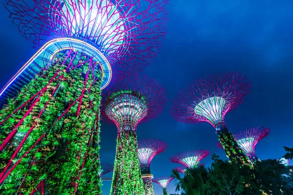 Futuristic view of amazing illumination at Garden by the Bay in Singapore