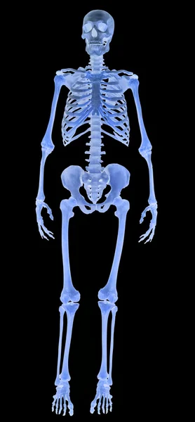 Full-face human skeleton on black
