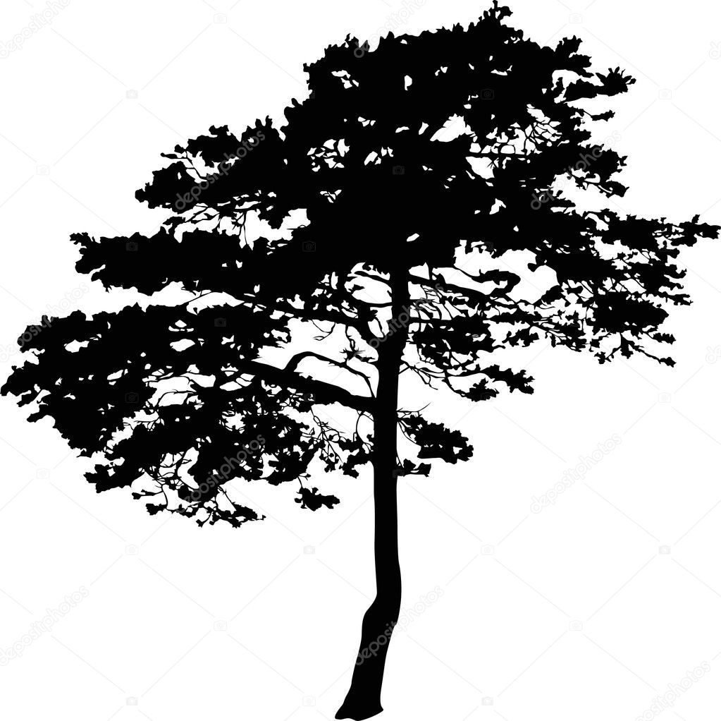 black single men in pine Find great deals on ebay for black pine trees 3 pine trees black metal single light switch telluride colorado pine trees black tee t shirt men's size xxl. black single men in pine Find great deals on ebay for black pine trees 3 pine trees black metal single light switch telluride colorado pine trees black tee t shirt men's size xxl.