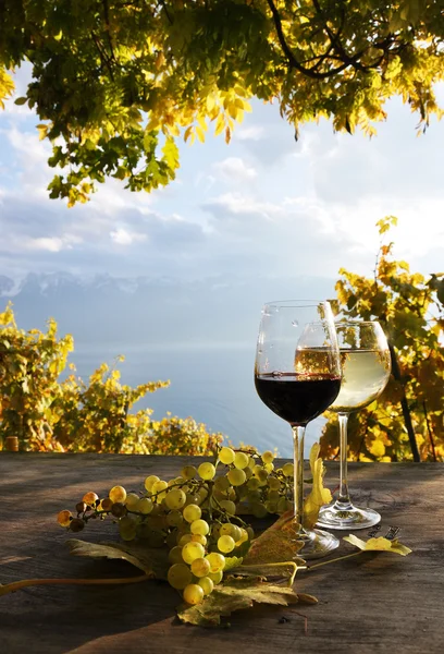 Pair of wineglasses and bunch of grapes. Lavaux region, Switzer