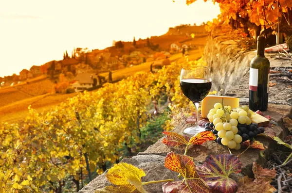 Glass of red wine on the terrace vineyard in Lavaux region, Swit