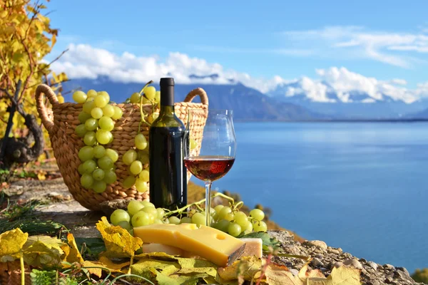 Red wine and grapes on the terrace of vineyard in Lavaux region,