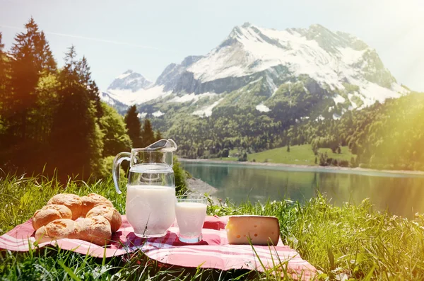 Milk, cheese and bread served at a picnic