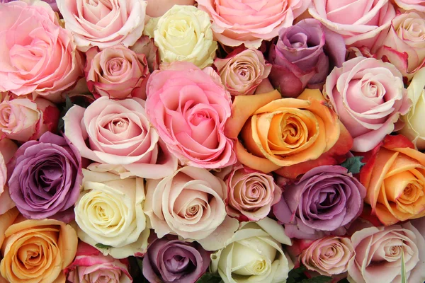 Mixed pastel roses