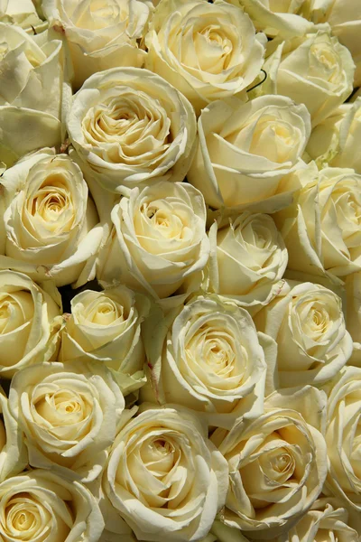 Group of white roses in floral wedding decorations
