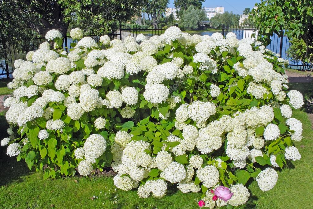 364Торт из ммдемс своими руками