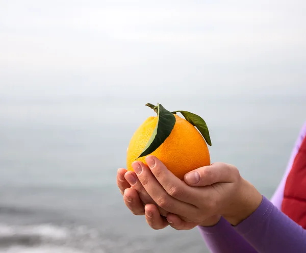 Orange in palm of hand