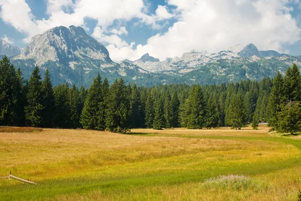 Mountain scenery, National park Durmitor, Montenegro