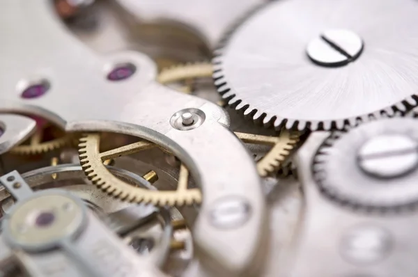 The mechanism of an old watch