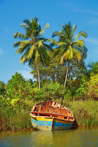 Fishing boat on the shore of a tropical river. GOA, Chapora Rive