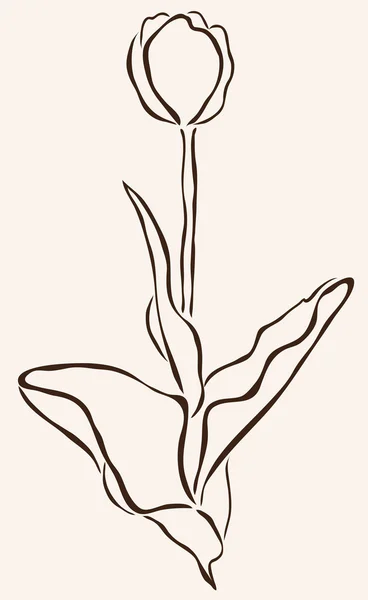 Рука нарисованные тюльпан — Cтоковый вектор