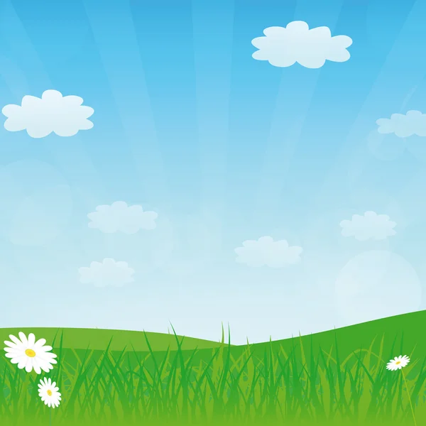 Vector spring or summer background