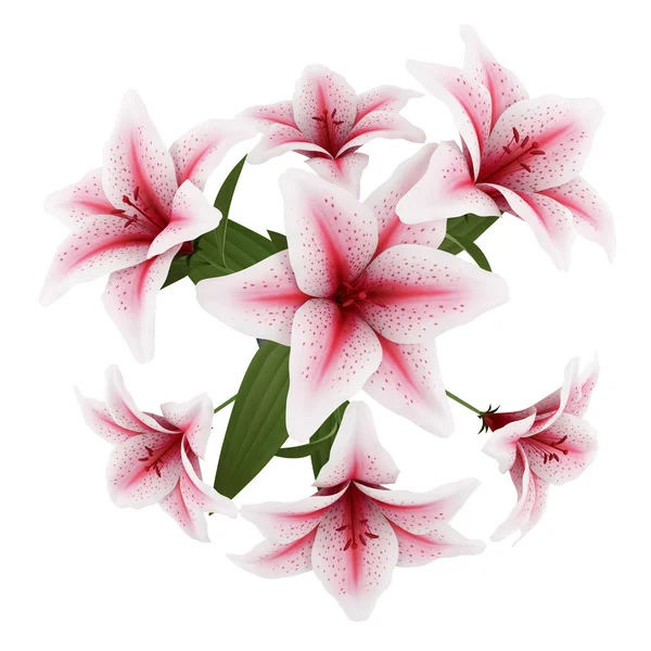Top view of bouquet of pink lilies isolated on white background