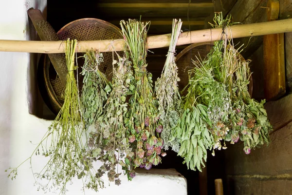 Bunches of dried healing herbs