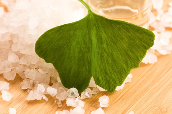 Fresh leaves ginko biloba essential oil and sea salt - beauty tr