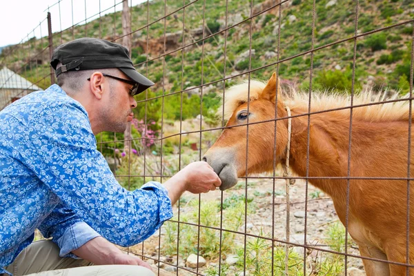 Man feeding pony