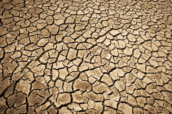 Cracks in the dried soil in arid season as a texture