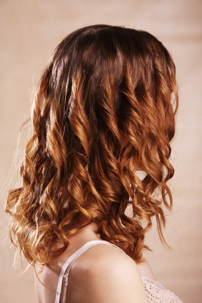 Female curly red hairs - back view