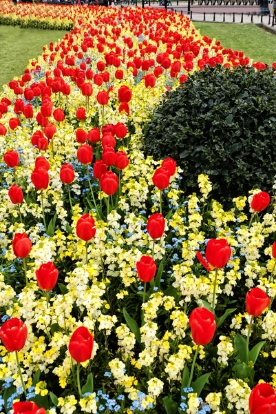 Flower alley in the park