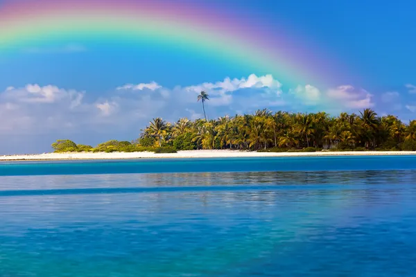 The tropical island with palm trees in the ocean and a rainbow over it