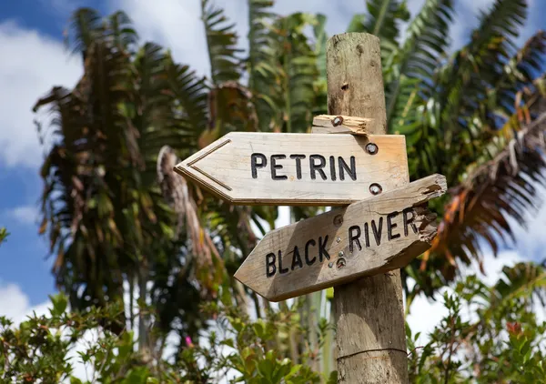 Direction indicator on the road in the wood. Mauritius.