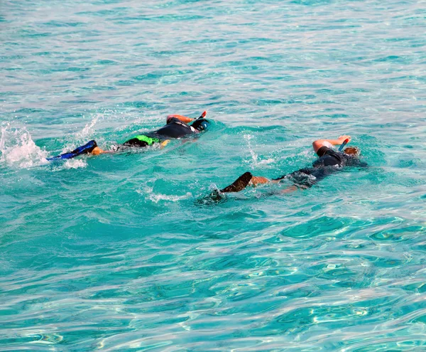 Two men with masks and tubes swim synchronously at ocean