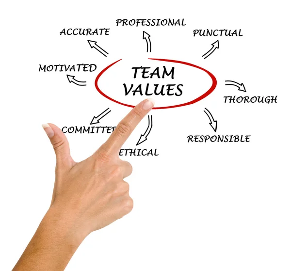 Team values and norms