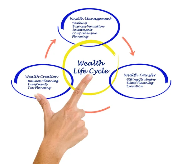 Wealth life cycle