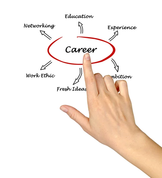 Diagram of career success