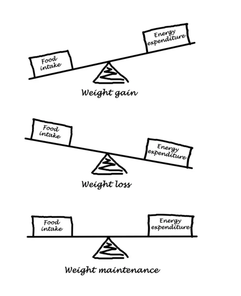 Balance between Energy intake and Energy expenditure