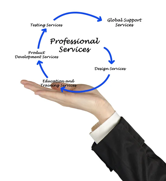 Diagram of professional services