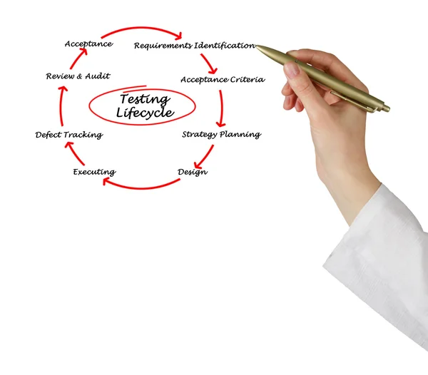 Product Development Life Cycle