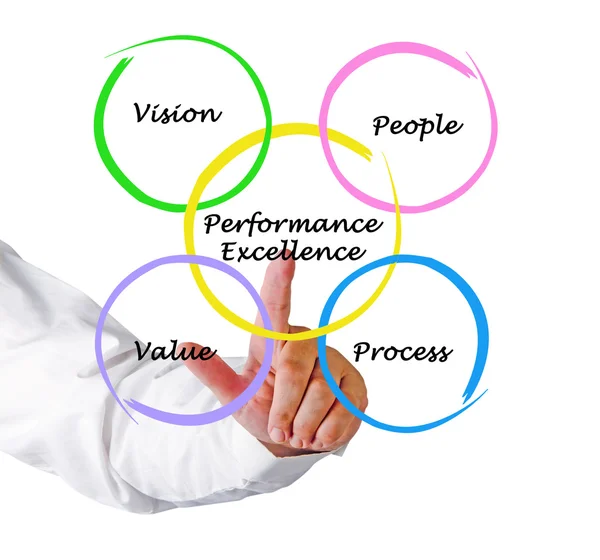 Diagram of performance excellence