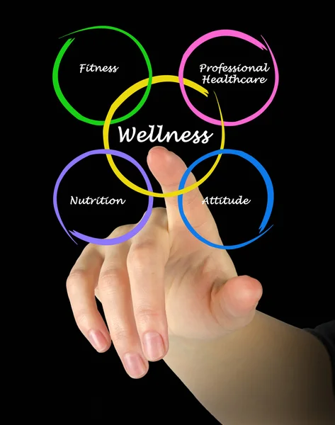 Diagram of wellness