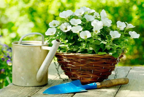 Flowers with garden tools