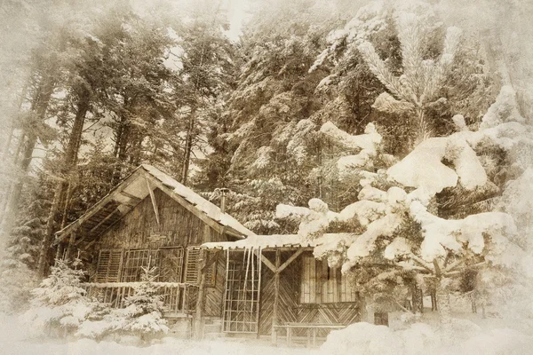 Vintage winter forest