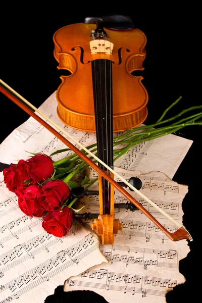 Violin sheet music and rose black composition