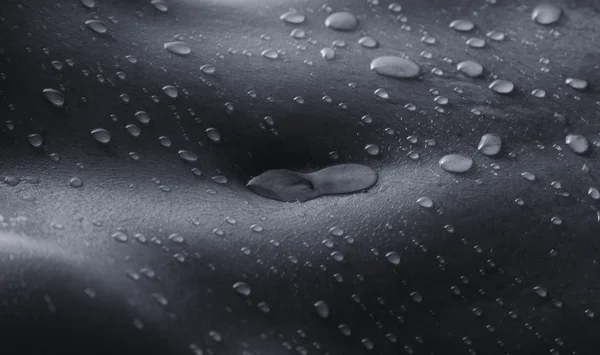 Bodyscape of a nude woman with wet stomach and back lighting art