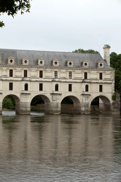 Garden and Castle of Chenonceau