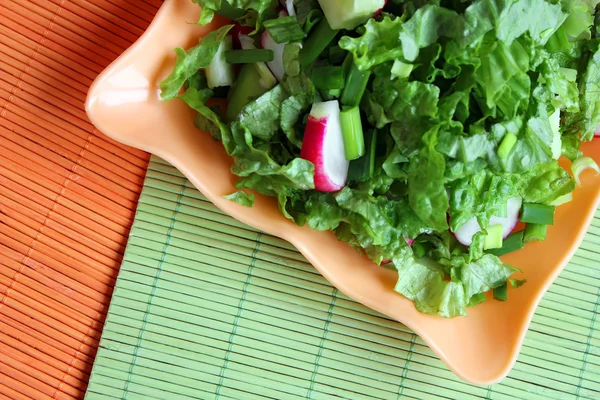 Green salad with radish and cucumbres and himalayan salt