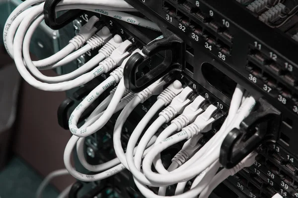 UTP Network cables connected to patch panel
