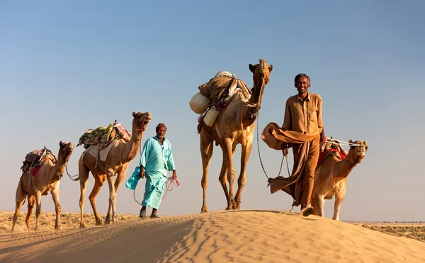 Camel man leads his camels across the Thar desert