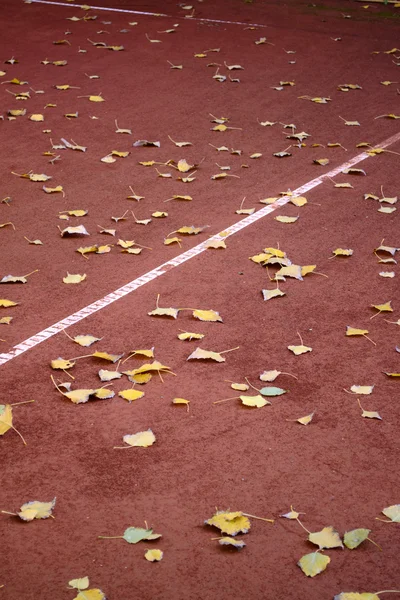 Tennis court with leaves