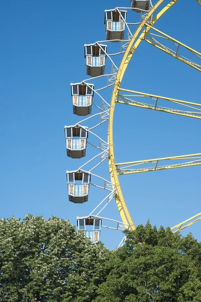 Ferris Wheel with Trees